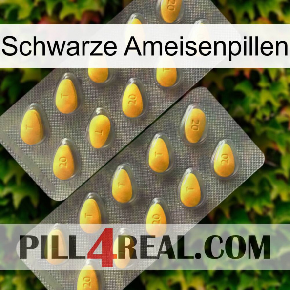 Black Ant Pills cialis2